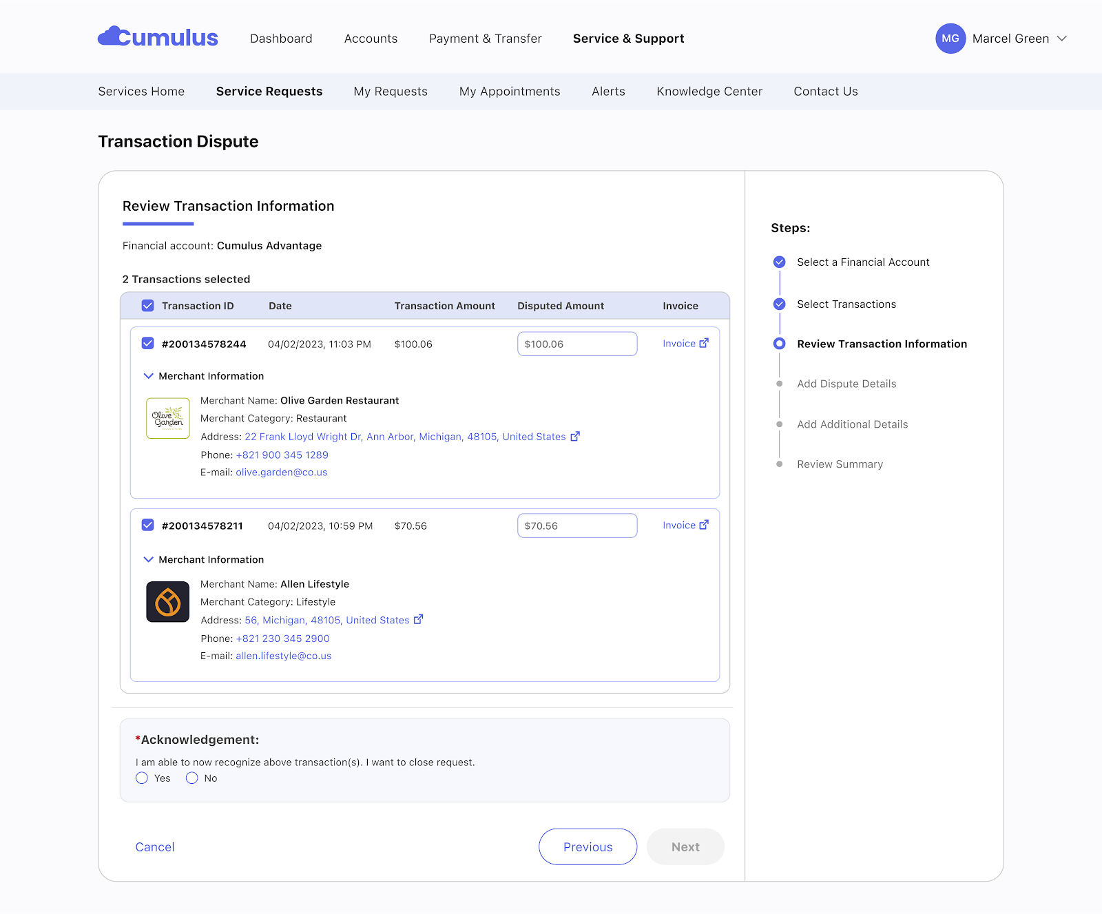 Transaction Dispute page showing merchant information, transaction details, and dispute steps