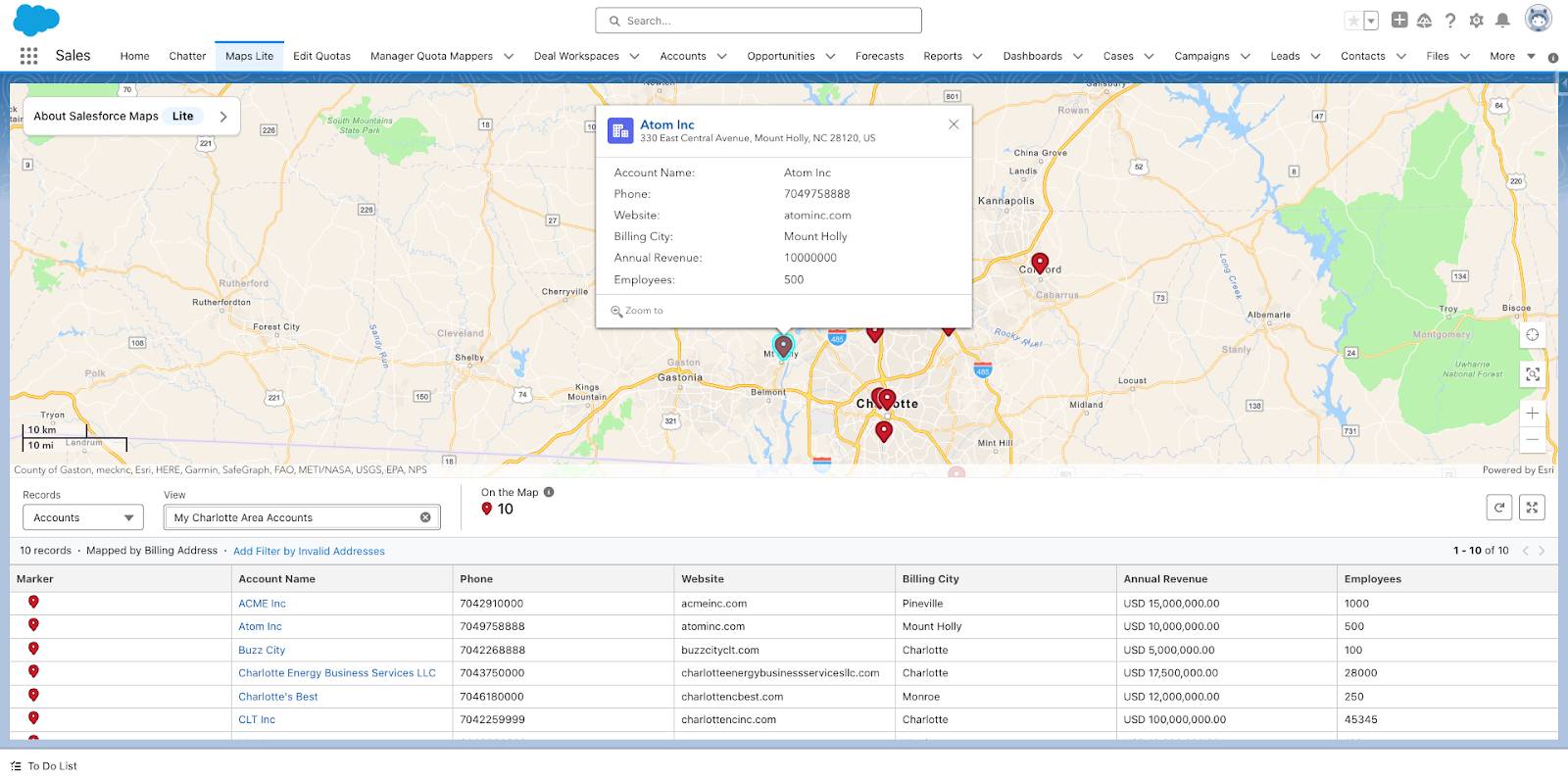 Example map of accounts on Maps Lite screen