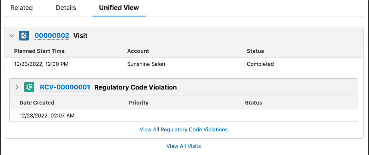 The Unified View tab showing Vist and Regulatory Code Violation details.