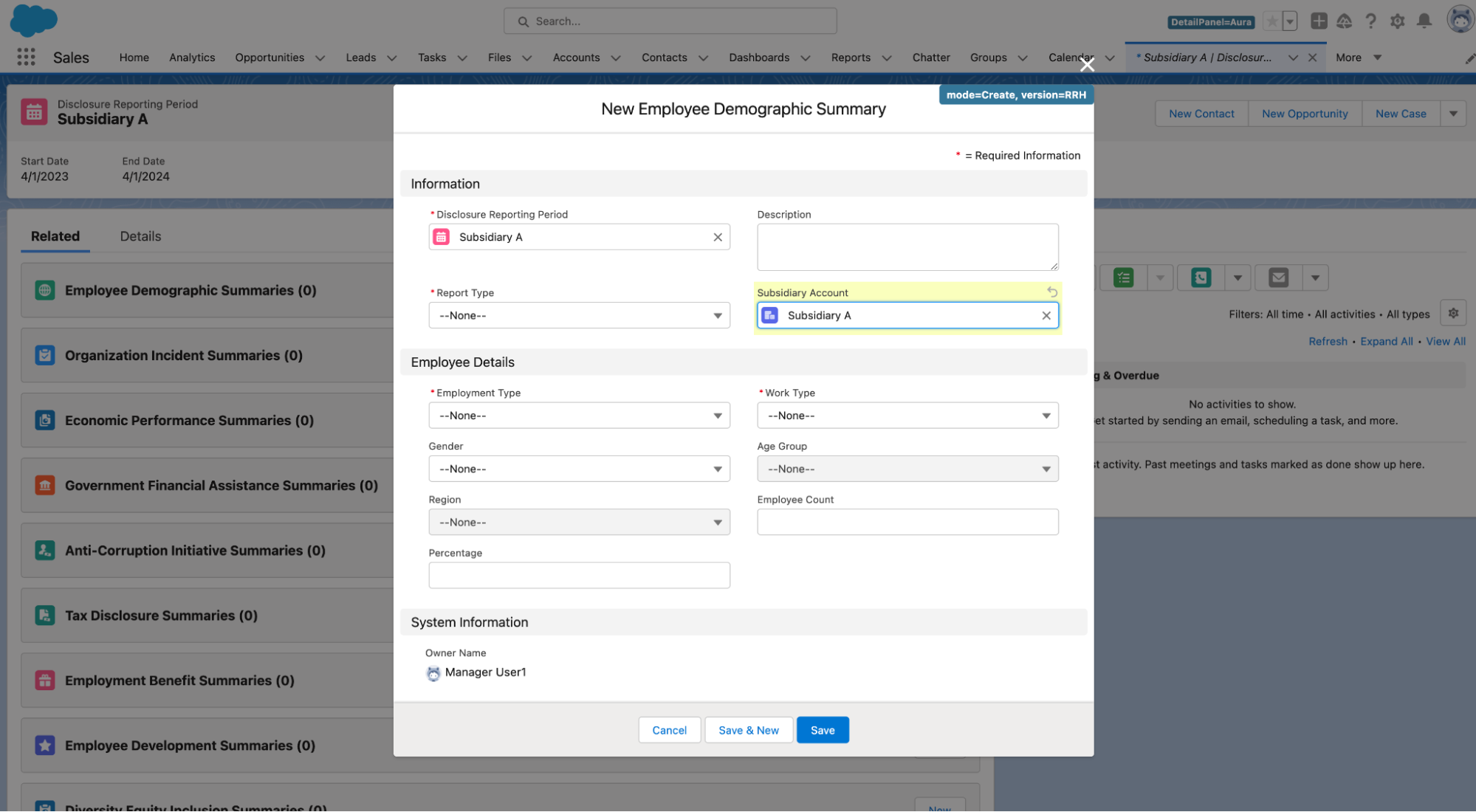 New Employee Demographic Summary screen for a Subsidiary