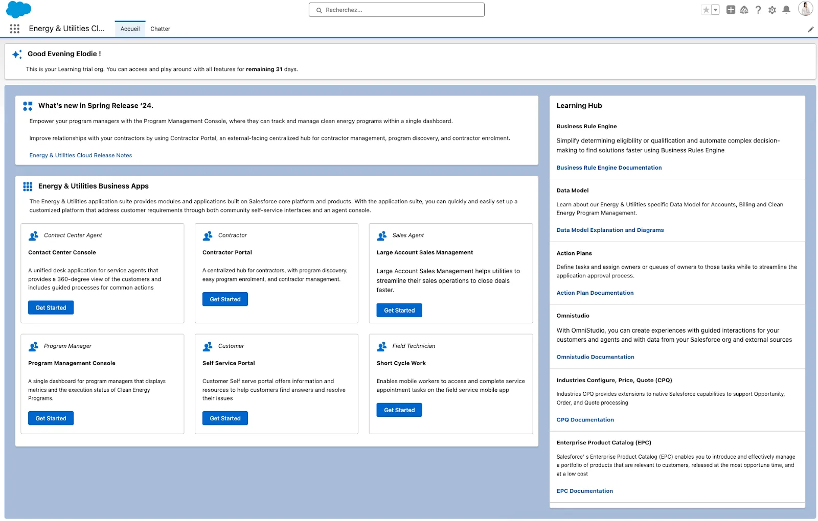 Example trial org with Energy & Utilities apps and Learning Hub.