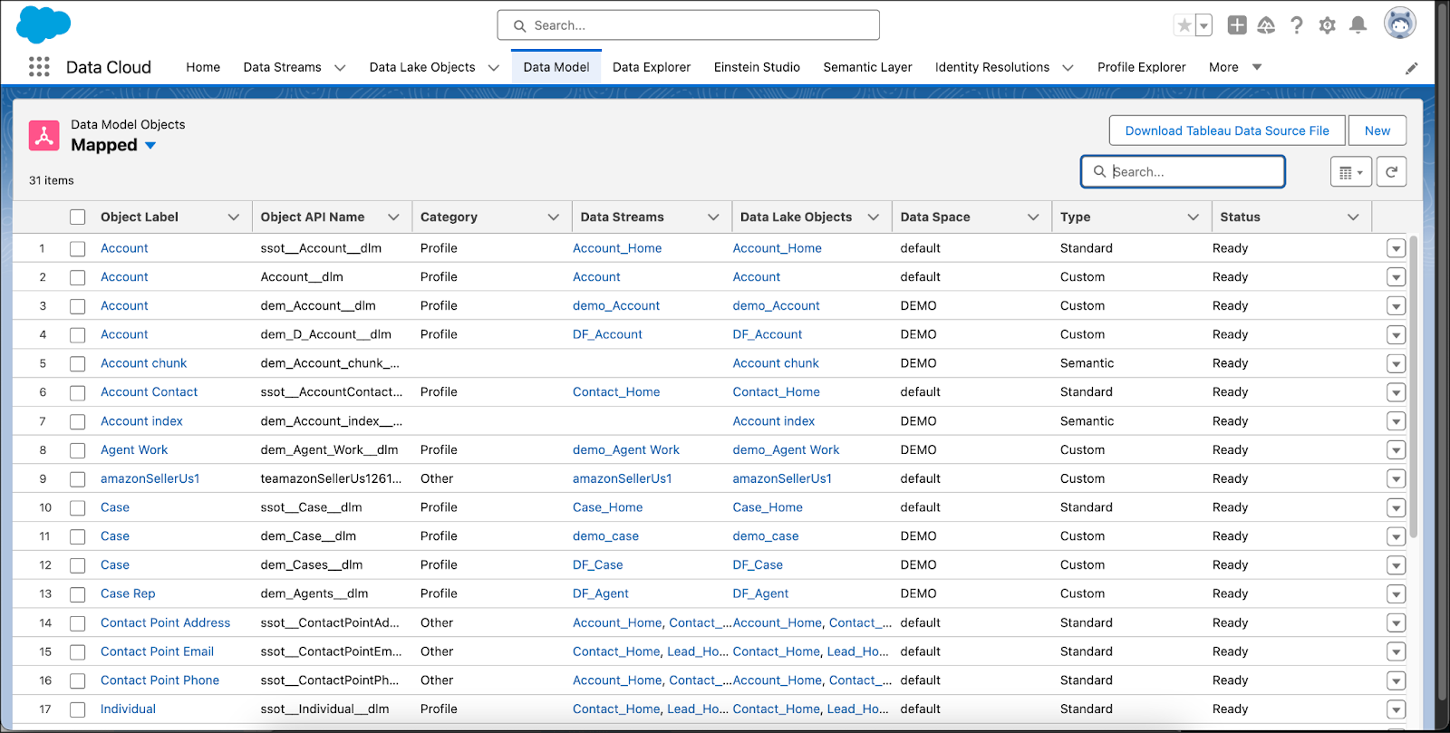 Data Model screen showing all the data model objects that exist.