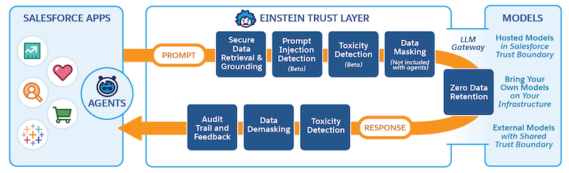 The Einstein Trust Layer process.