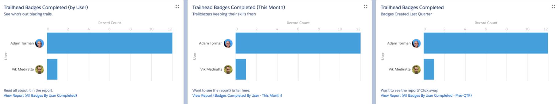 Trail Tracker dashboard of badges completed