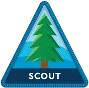 Scout rank art