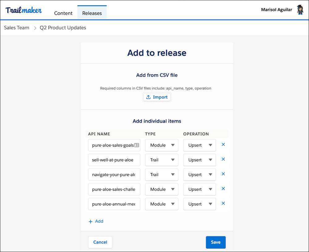 Seite 'Add to Release' (Zur Version hinzufügen) in Trailmaker Release mit den aus einer CSV-Datei importierten Elementen.