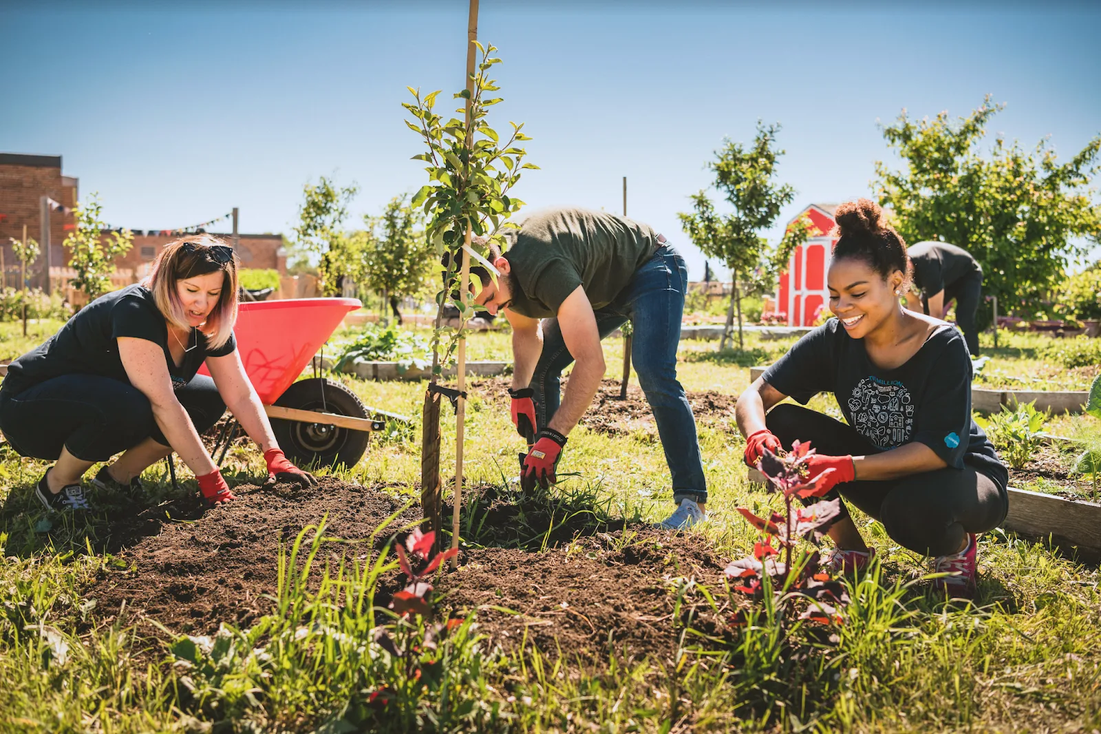 Salesforce employees planting trees