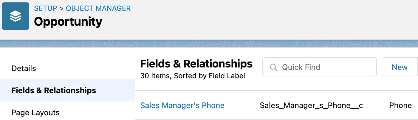 Opportunity object with Sales Manager’s Phone custom field.