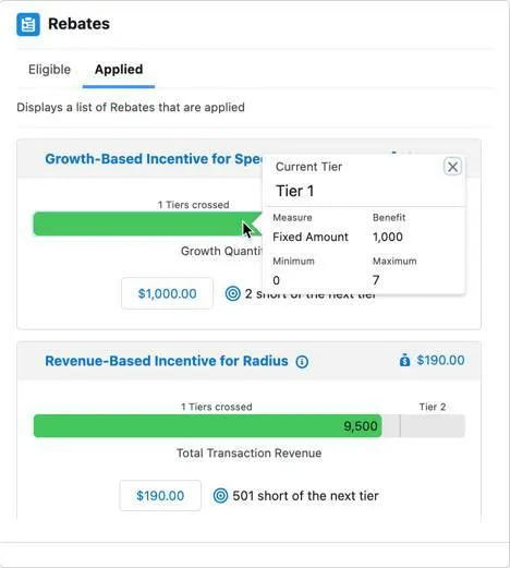 The Program Rebate Type Panel on the Order record page.