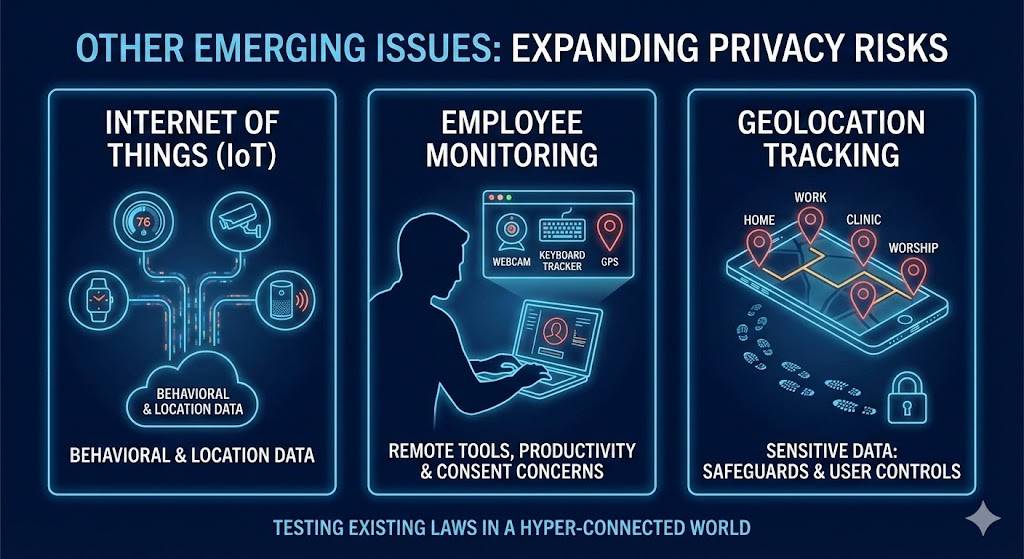 An 'Expanding Privacy Risks' infographic covers IoT data, remote employee monitoring, and geolocation tracking.