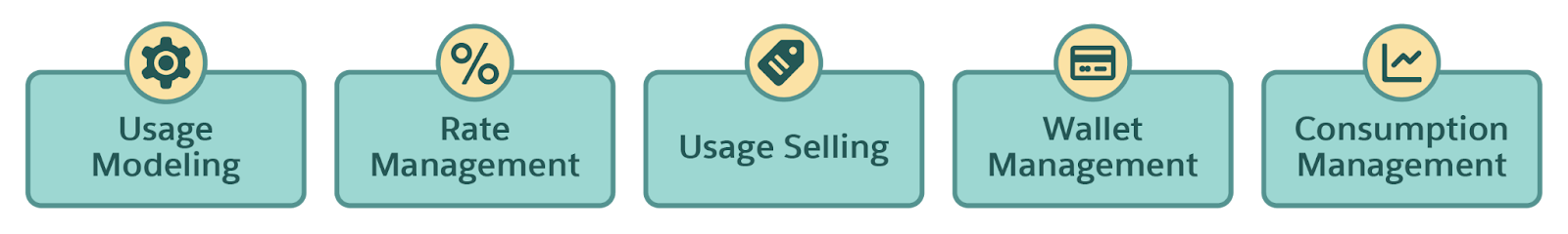 The five key components of Usage Management.