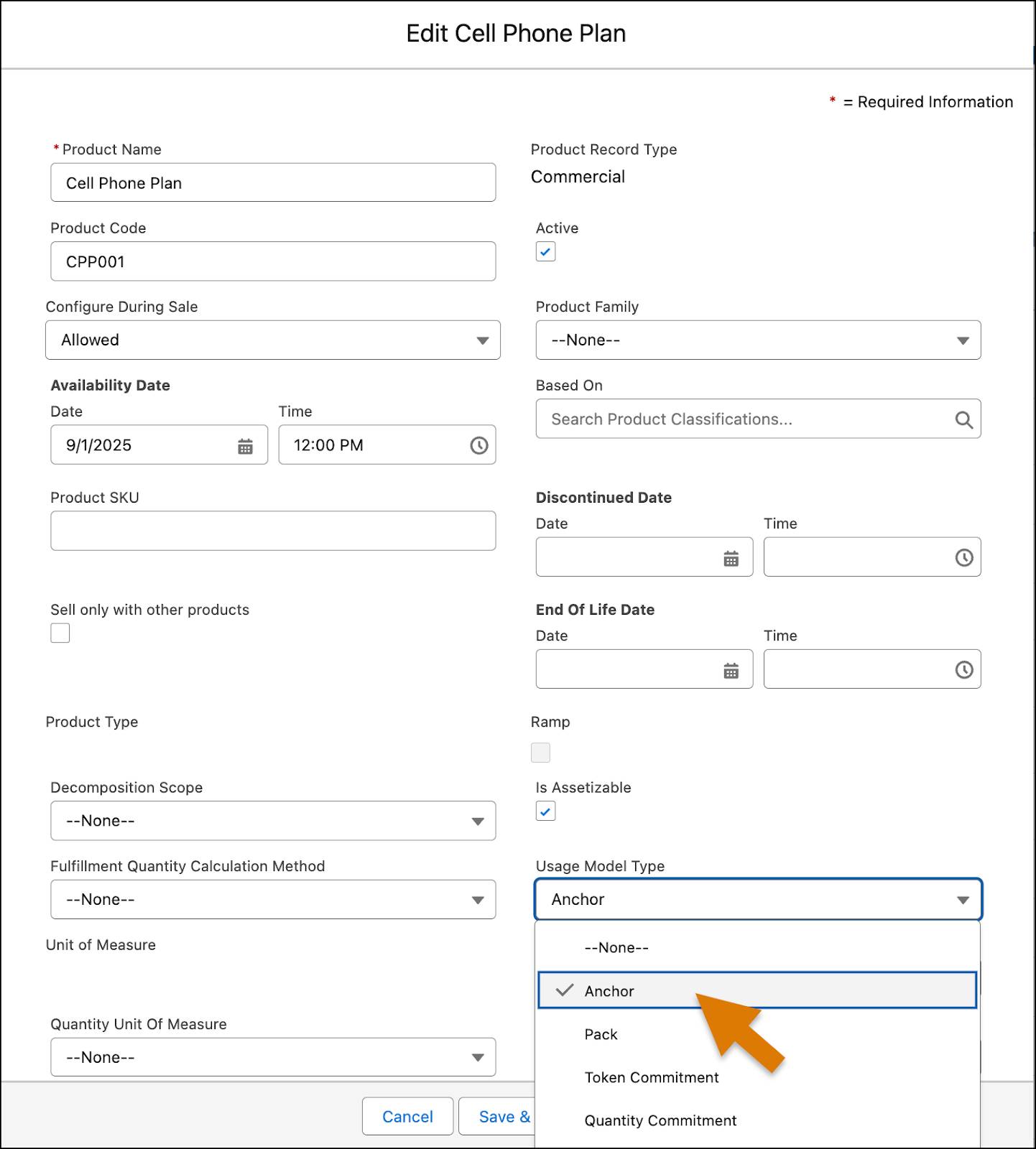 The Usage Model Type field with available options.