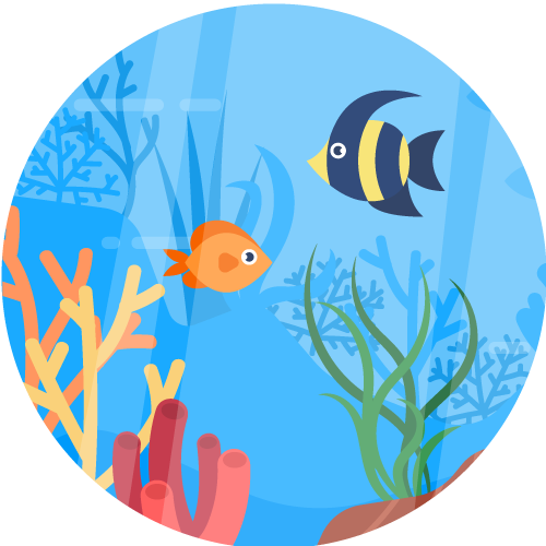 Tropical fish swimming among coral and seaweed in clear blue water.