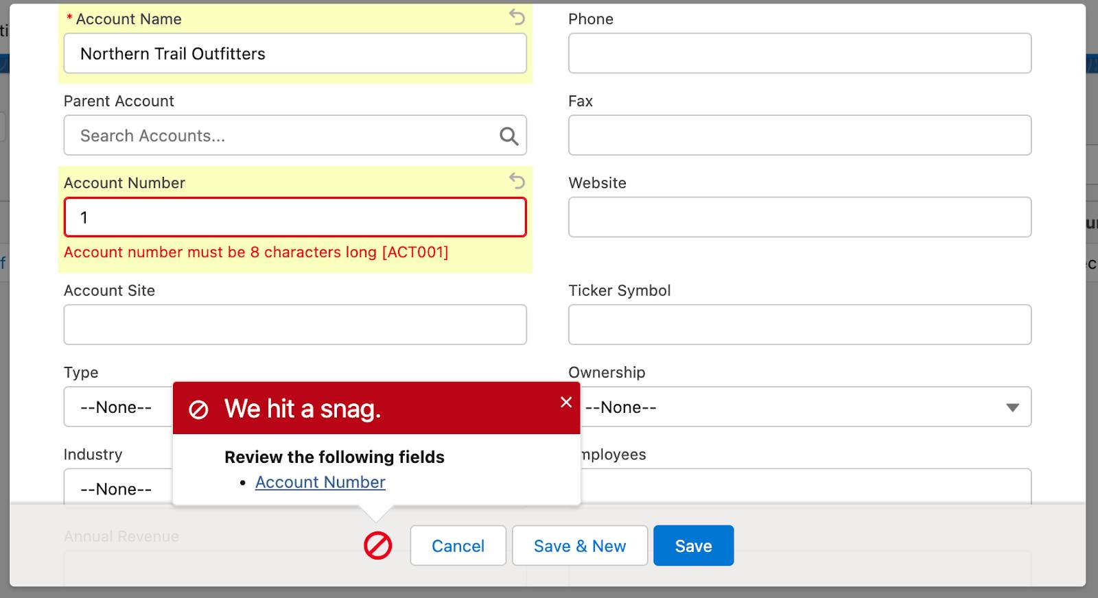 Salesforce Account new record page showing an error message on the account number field and a balloon instructing the user to review the Account Number field.