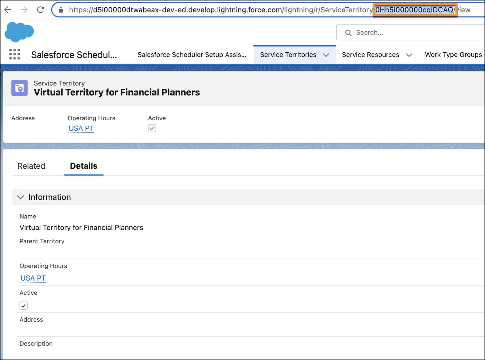 The Virtual Territory for Financial Planners page with the Salesforce ID highlighted.