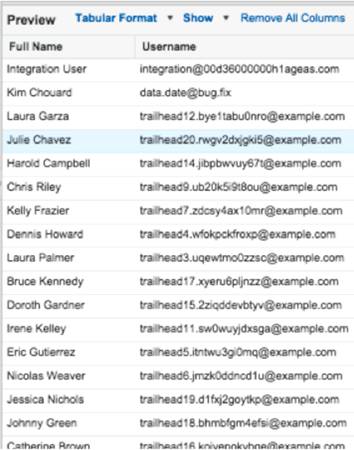 Salesforce users resport