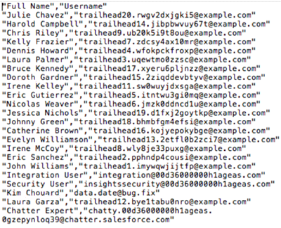 Salesforce users report CSV format