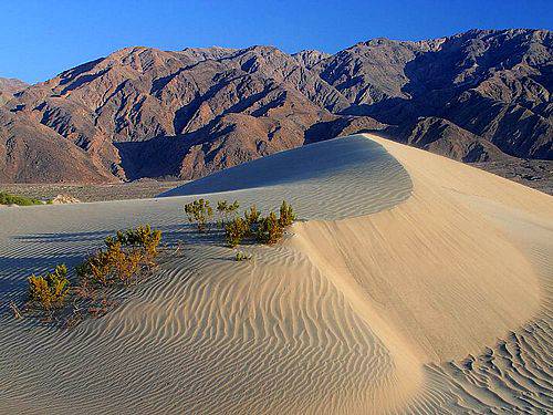 A photo of the sand dunes of Death Valley with mountains in the background.