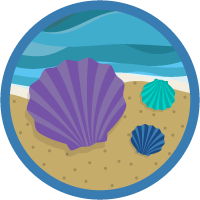 badge icon