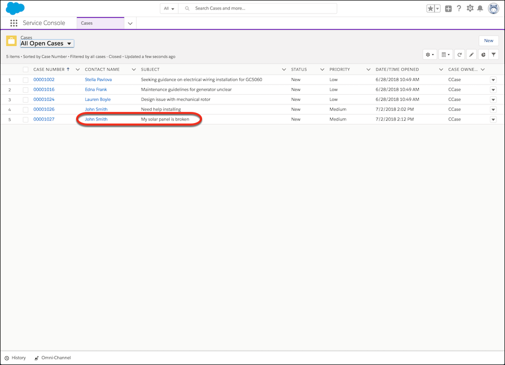 Open Cases list view with the new case highlighted