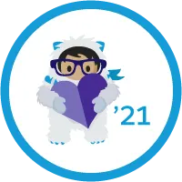 Winter '21 Release Highlights icon