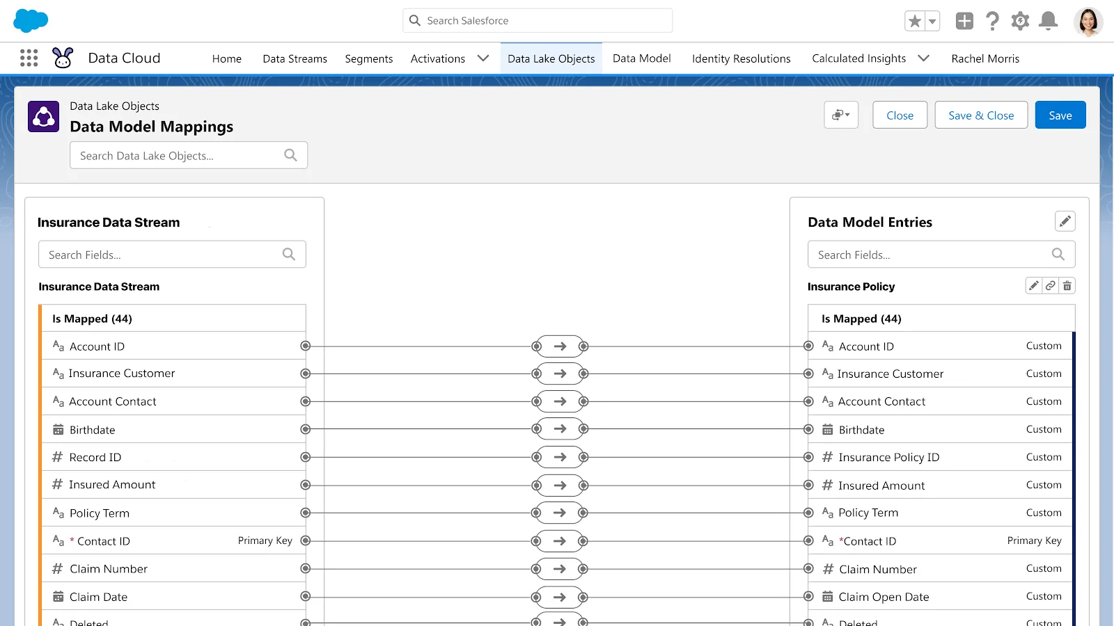 Page showing Data Model Mappings for an Insurance Data Stream.