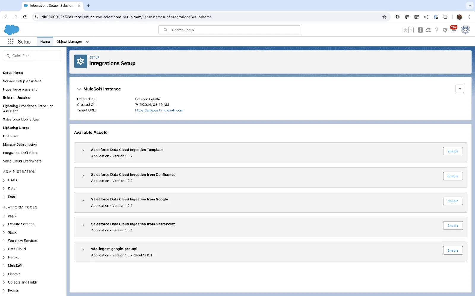 Integrations Setup page for MuleSoft Instance.