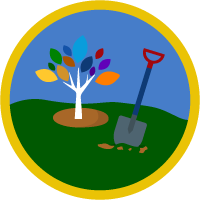 badge icon