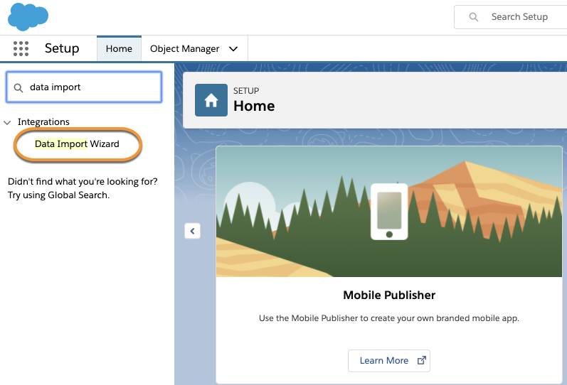 Setup mit markierter Option 'Data Import Wizard (Datenimport-Assistent)'