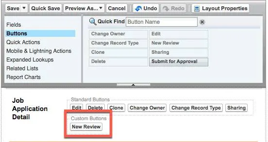 Job Application page layout editor showing the New Review custom button in the Job Application Detail section.