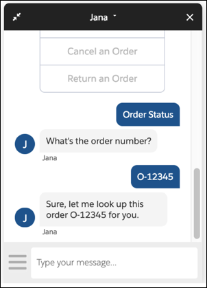 The Jana bot showing order status of O-12345.