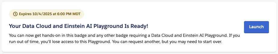 Org selection and Launch button in the Challenge section of this page.