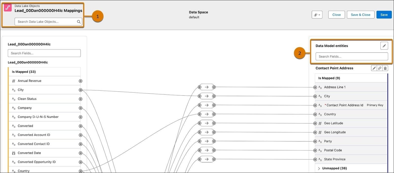 DLO mapping screen for the Lead data stream