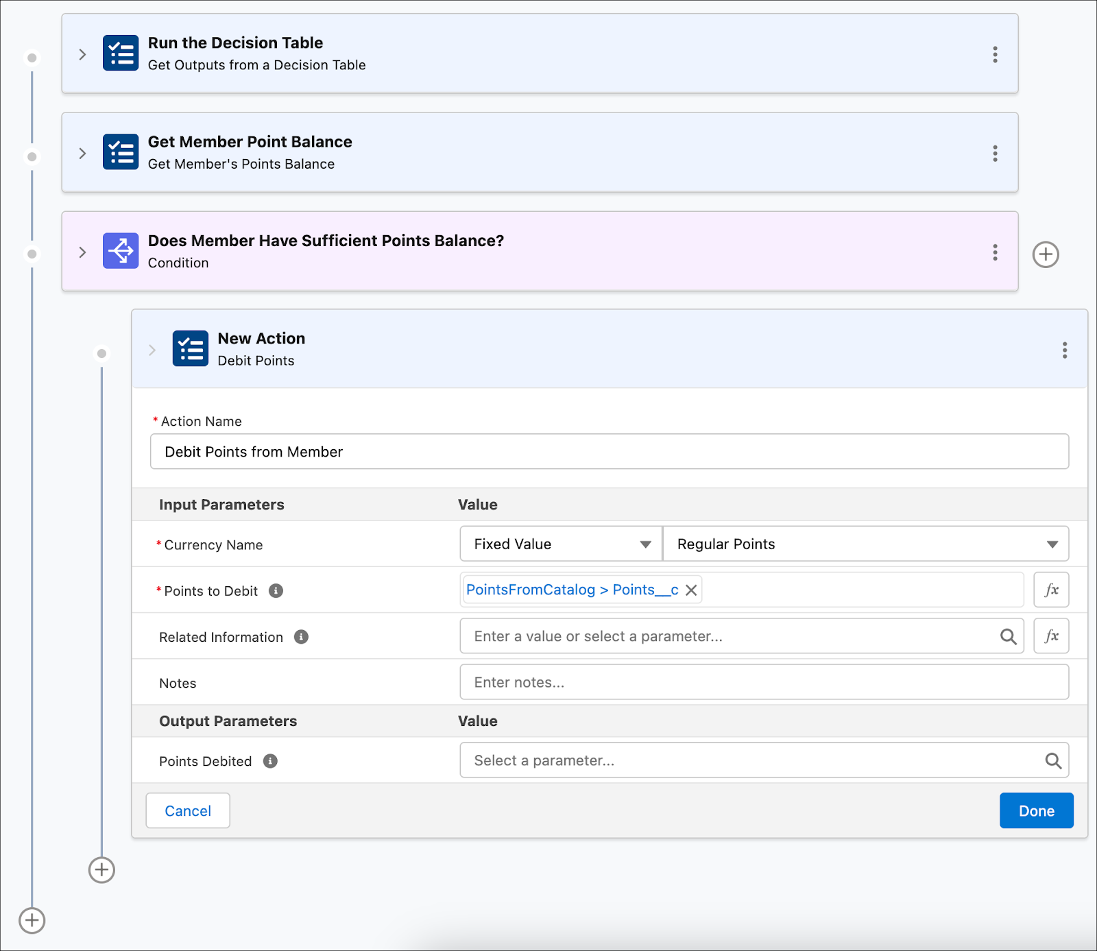 The New Action window where you provide the inputs to debit a member’s points balance.