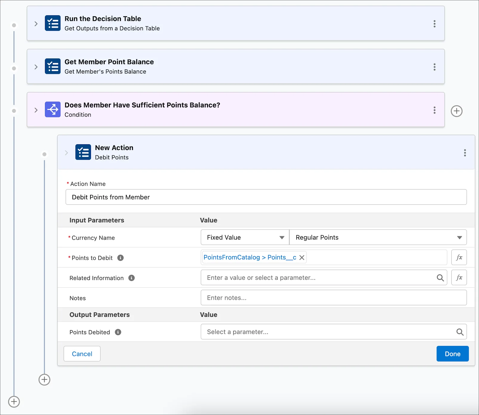 The New Action window where you provide the inputs to debit a member’s points balance.