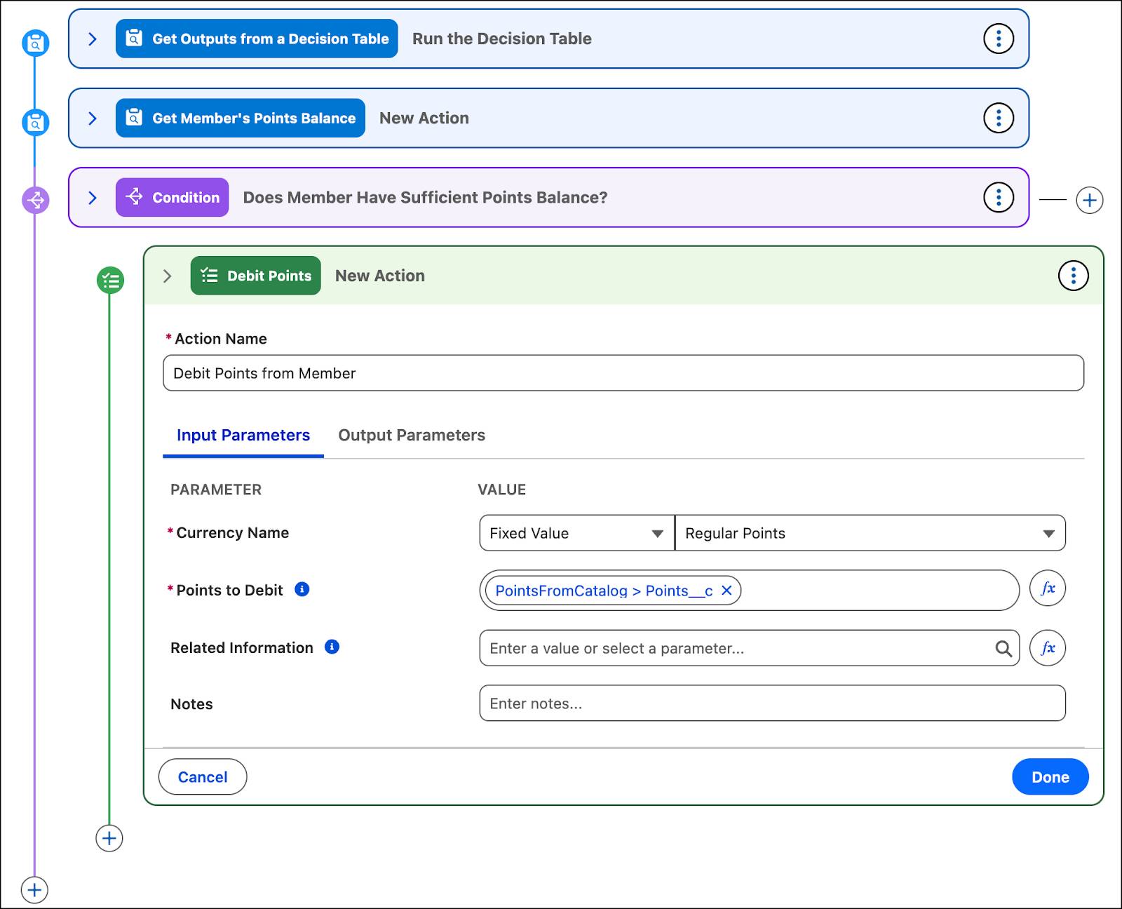 The New Action window where you provide the inputs to debit a member’s points balance.