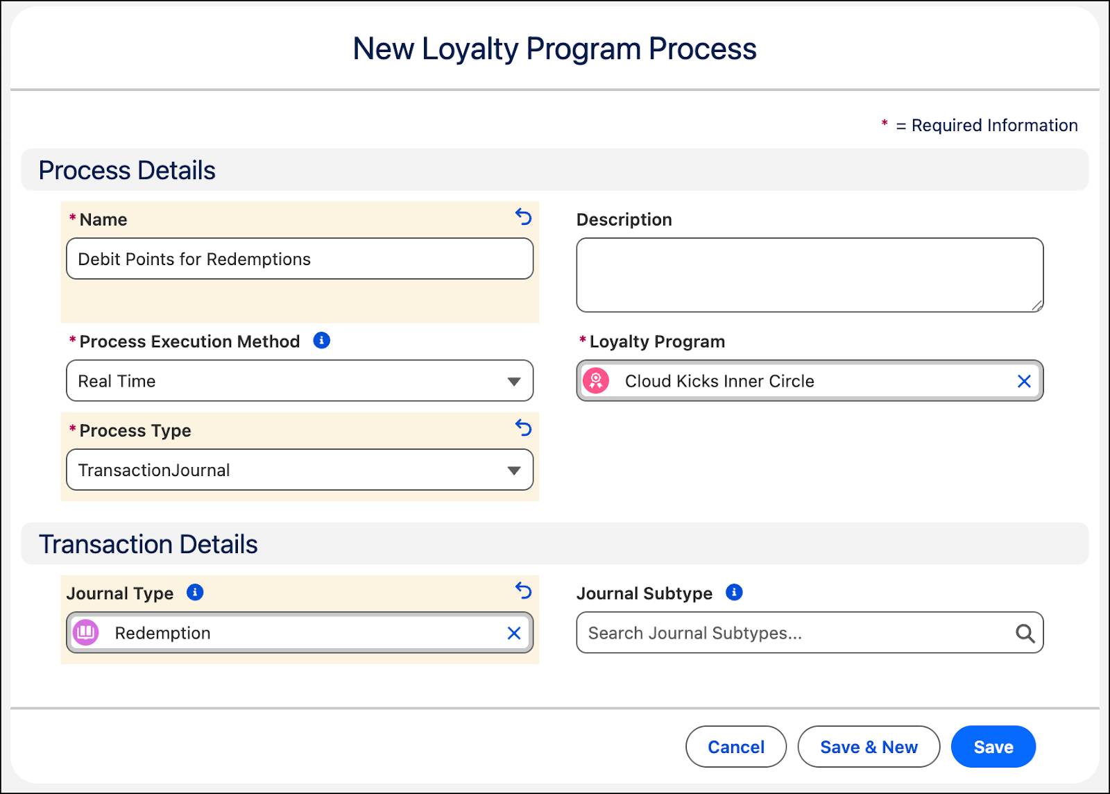 The New Loyalty Program Process window where you define the type of transactions to process.