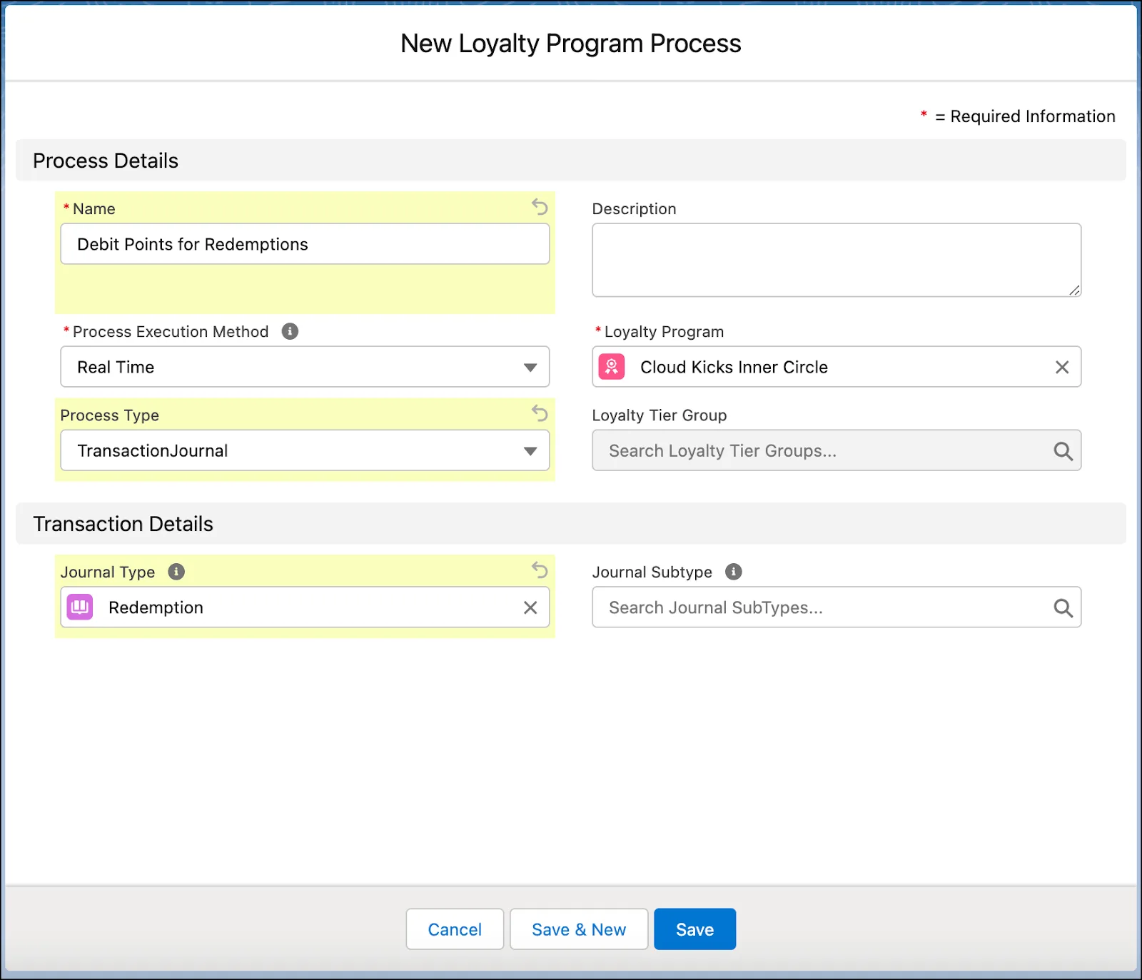 The New Loyalty Program Process window where you define the type of transactions to process.