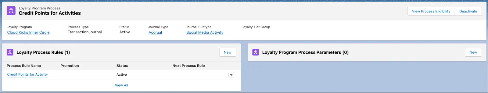 The Credit Points for Activities Loyalty Program Process page.