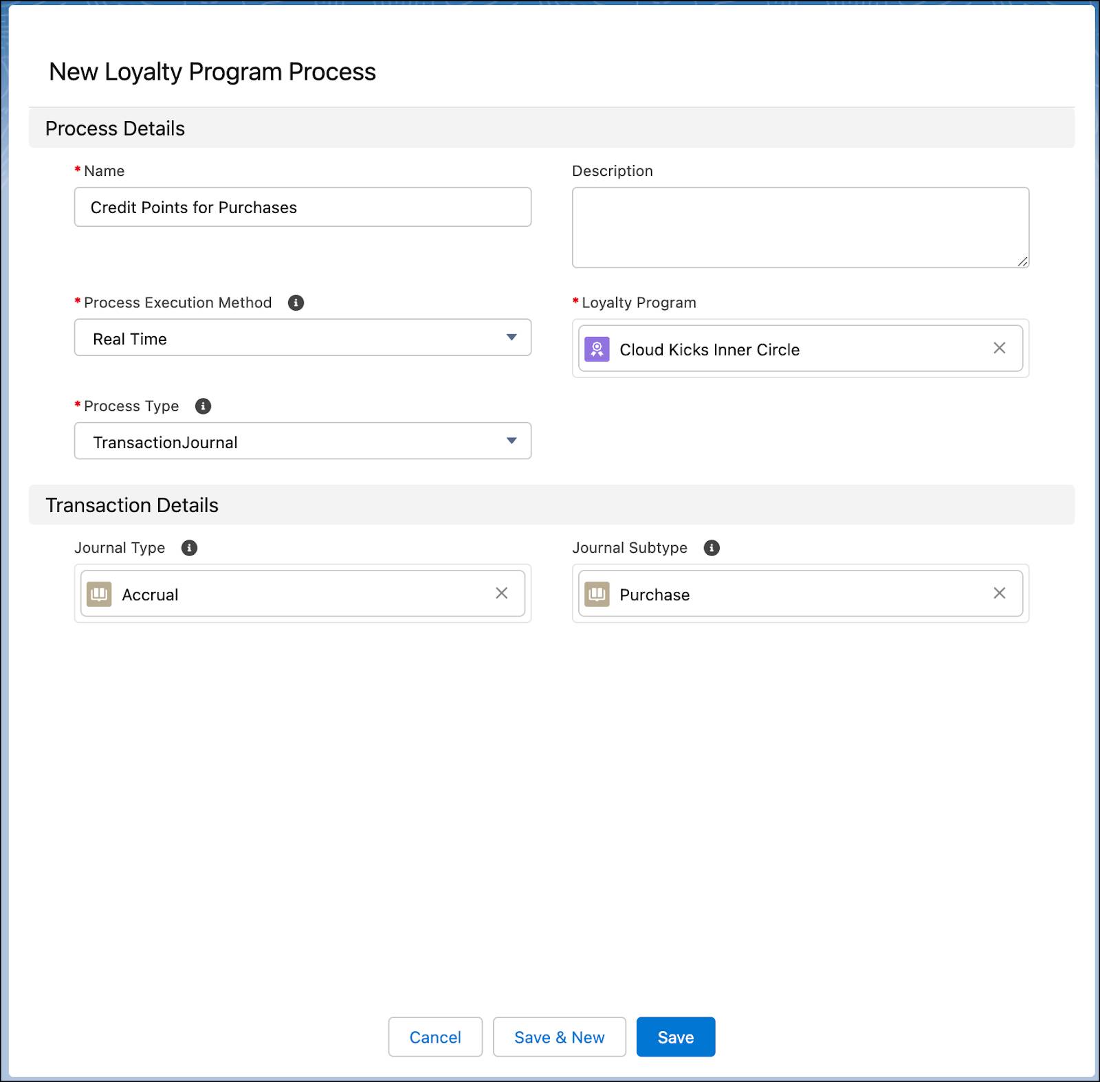 The New Loyalty Program Process window where you create a new process