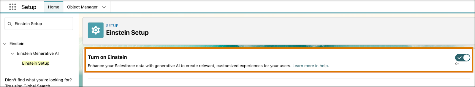 Einstein Setup page in Setup showing Einstein enabled.