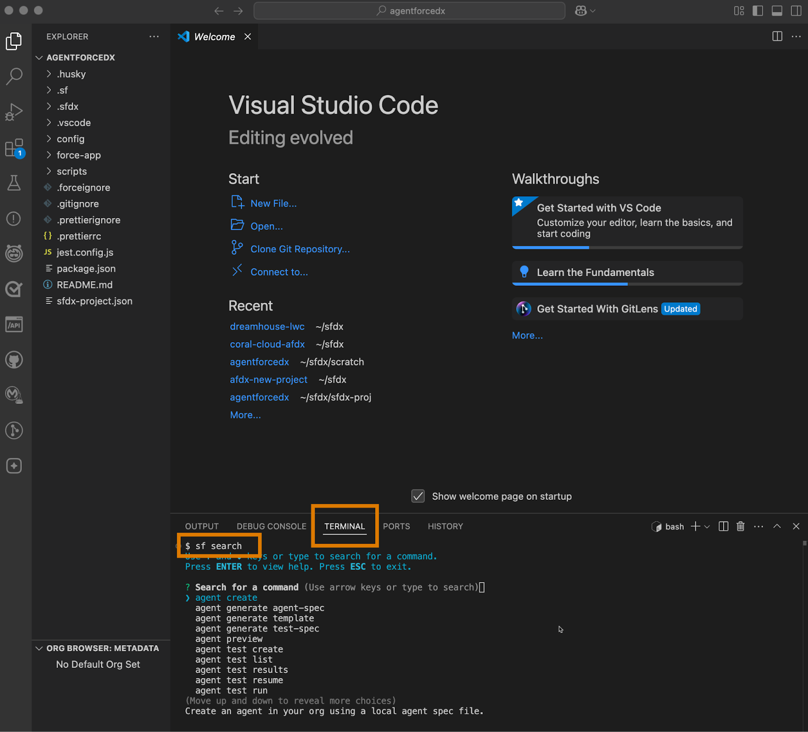 Salesforce CLI コマンド「sf search」を実行している統合ターミナルが表示されている Visual Studio Code。