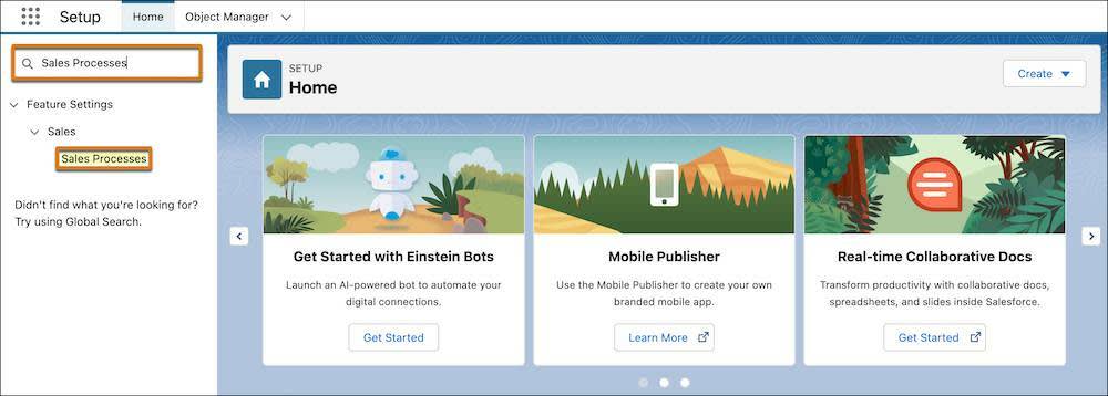 Sales Processes in the Quick Find box to filter settings.