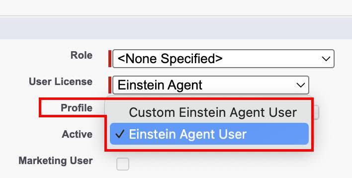 Einstein Agent User profile selected.