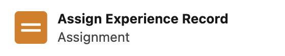 Elemento Assign Experience Record (Assegna record esperienza)