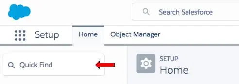Arrow pointing to the Quick Find textbox in Setup