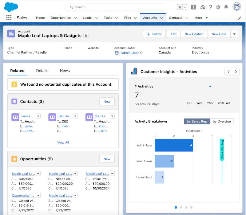 Customer Insights embedded in the Accounts page