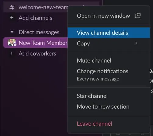 #welcome-new-team-members channel is selected, and the user is hovering over View channel details.