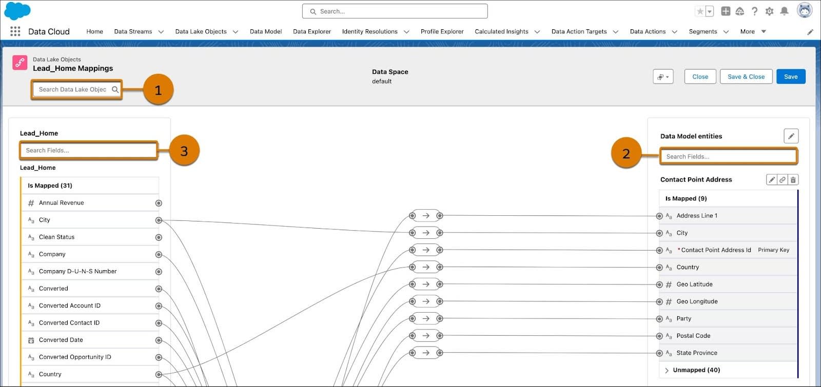 DLO mapping screen for the Lead data stream.