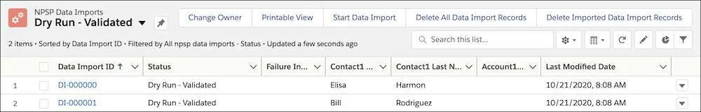 The Dry Run - Validated list view showing two records